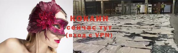 крисы Богданович