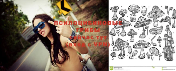 спайс Белокуриха